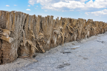 Similar image 21447115