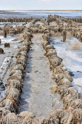 Similar image 21447116