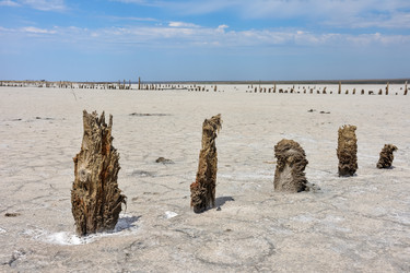 Similar image 21447120