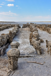 Similar image 21447121