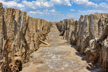 Similar image 21448884