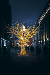 Similar image 21454686