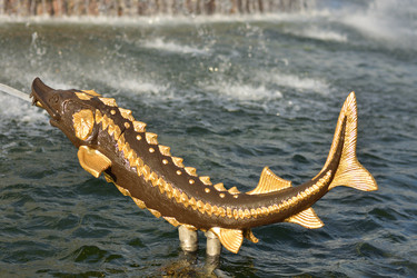 Similar image 21469518