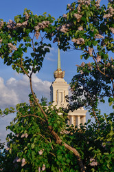 Similar image 21469525