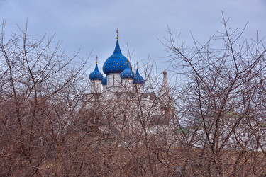 Similar image 21449301