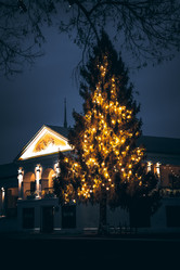 Similar image 21469581