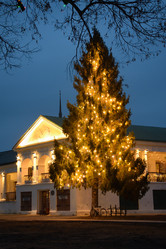 Similar image 21469585