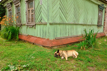 Similar image 21449144