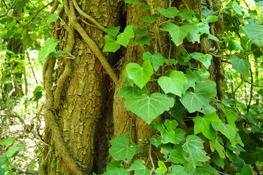 Similar image 21450310