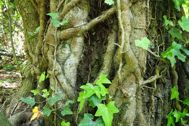 Similar image 21450313