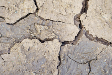 Similar image 21442859