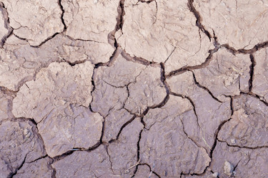 Similar image 21442861