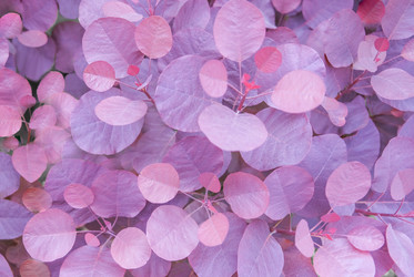 Similar image 21443537