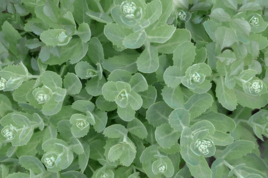 Similar image 21443539