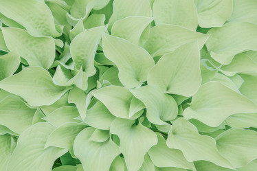 Similar image 21443540