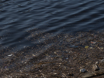 Similar image 21443769