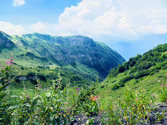 Similar image 21443560