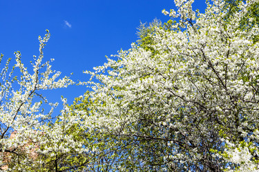 Similar image 21444046