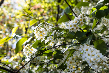 Similar image 21444052