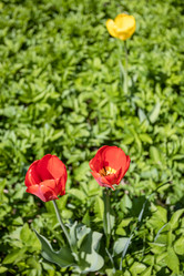 Similar image 21444088