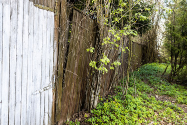 Similar image 21444092