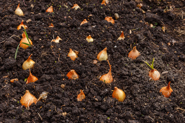 Similar image 21443773