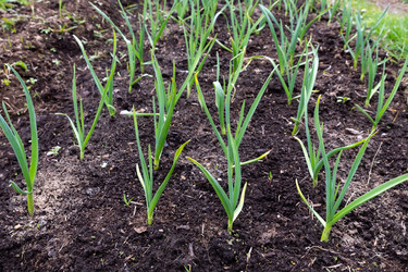 Similar image 21443774