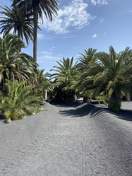 Similar image 21444127