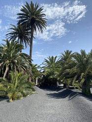 Similar image 21444128