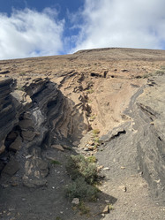 Similar image 21444139