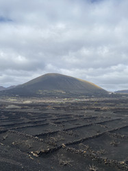 Similar image 21444140