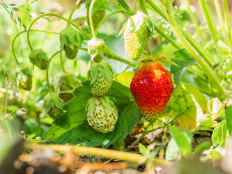 Similar image 21468200