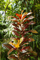 Similar image 21468201