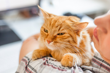 Similar image 21471690