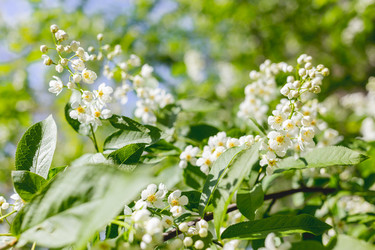 Similar image 21471693