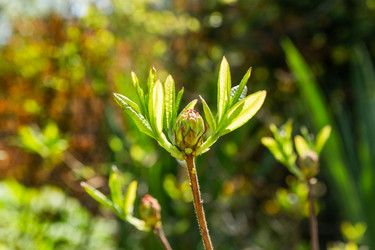 Similar image 21471694