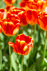 Similar image 21471695