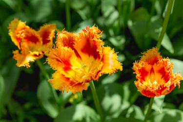 Similar image 21471696