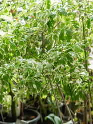 Similar image 21471700