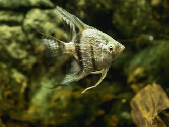 Similar image 21471701