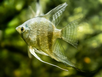 Similar image 21443785