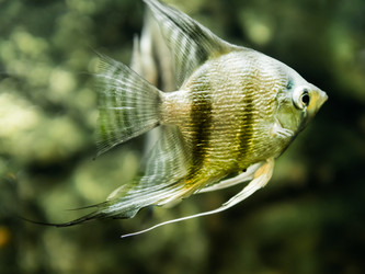 Similar image 21471702