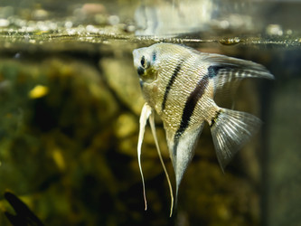 Similar image 21468202