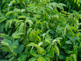 Similar image 21471704