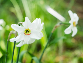 Similar image 21471706