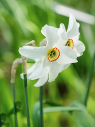 Similar image 21471707