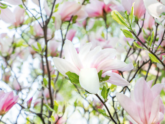 Similar image 21444142