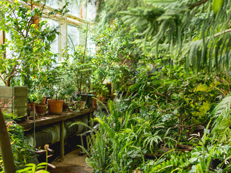 Similar image 21471711