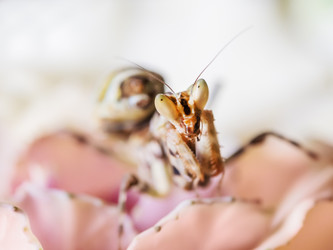 Similar image 21471714