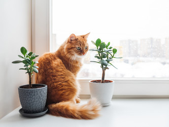 Similar image 21444145